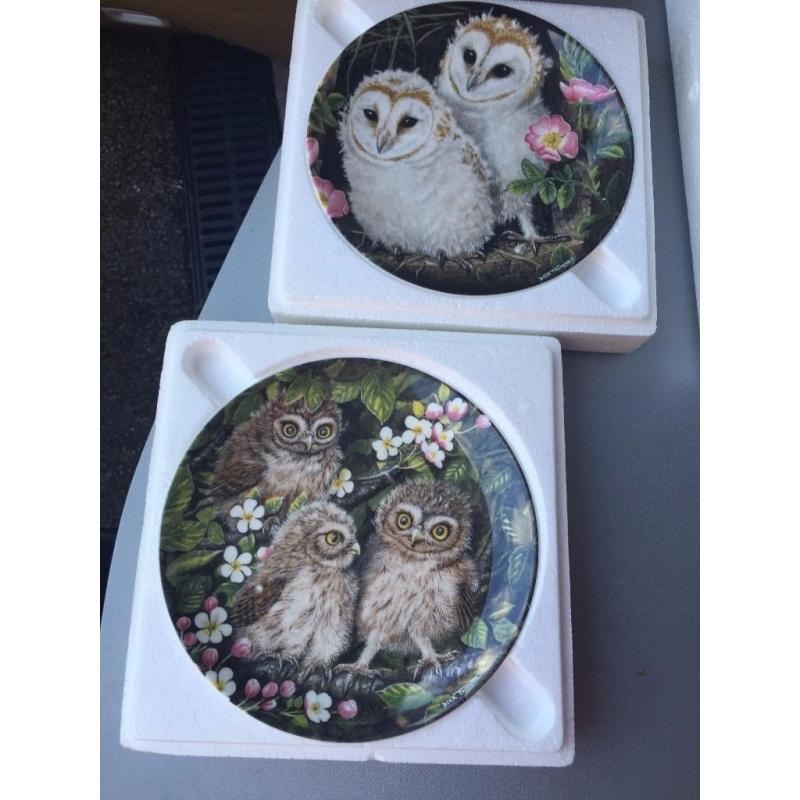 collections plates & more for sale #3